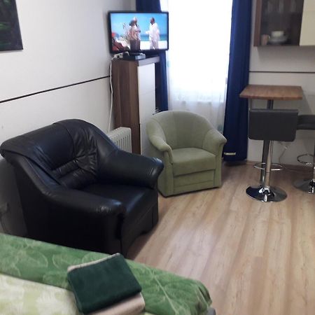 Apartment Ap 1 Im Zentrum Steyr, Bestrooms Eu Kültér fotó
