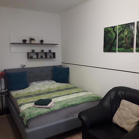Apartment Ap 1 Im Zentrum Steyr, Bestrooms Eu Kültér fotó