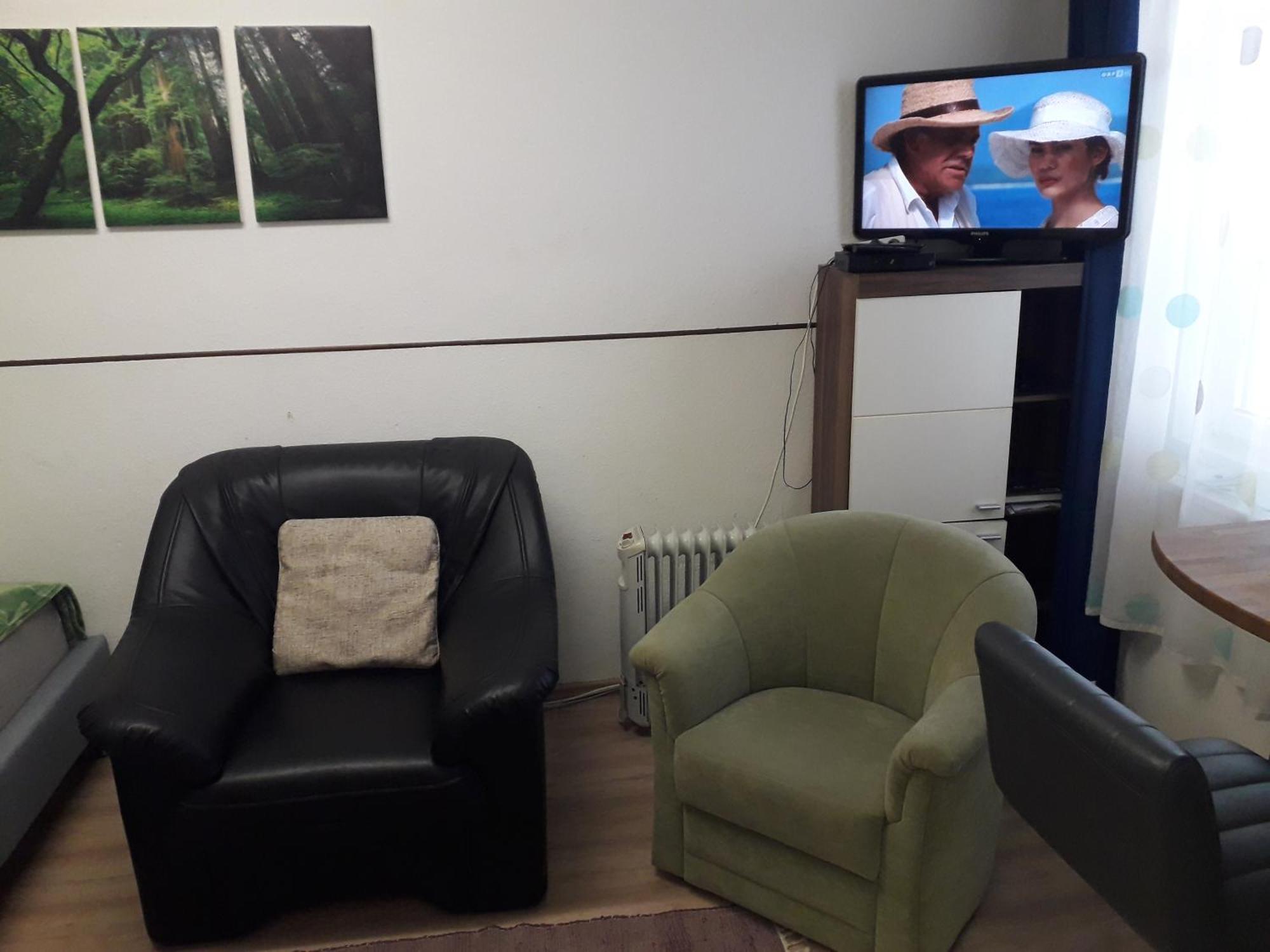 Apartment Ap 1 Im Zentrum Steyr, Bestrooms Eu Kültér fotó
