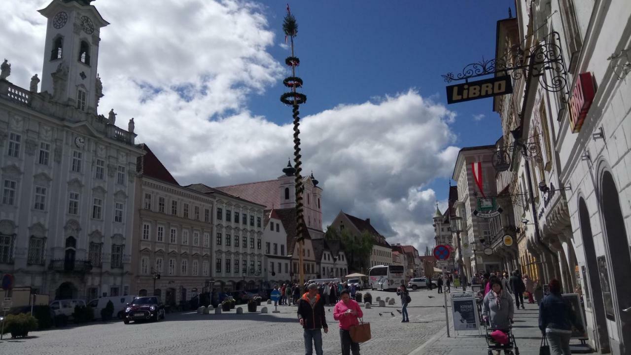 Apartment Ap 1 Im Zentrum Steyr, Bestrooms Eu Kültér fotó